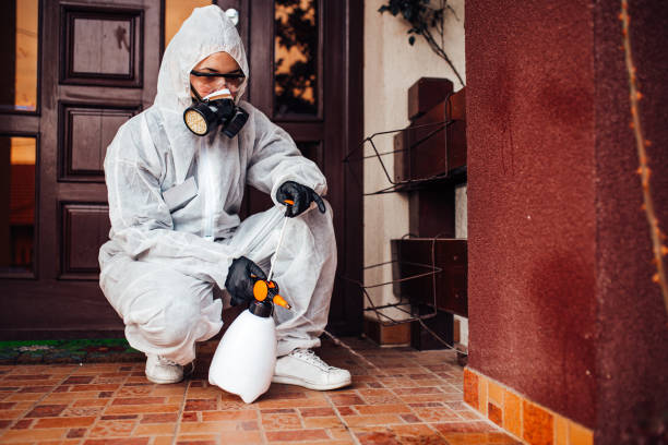 Reliable Cockroach Control contractor in Cedartown, GA by Nex Pest Control